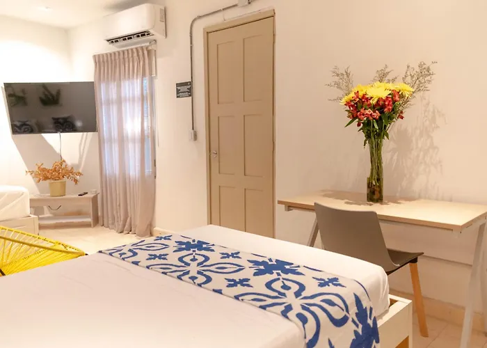 Hostel Musa Paradisiaca