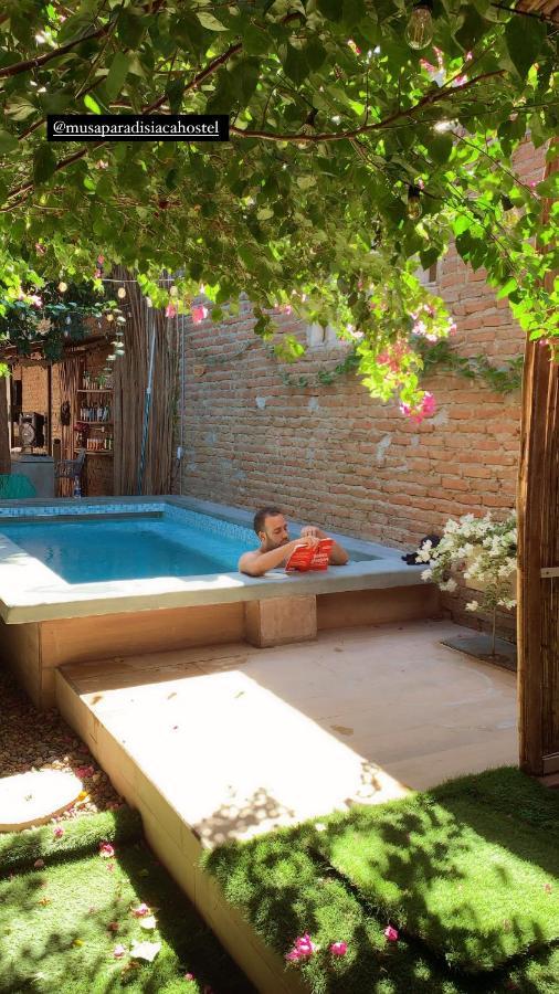 Hostal Musa Paradisiaca *