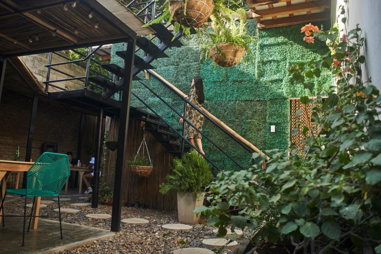 Hostal Musa Paradisiaca *
