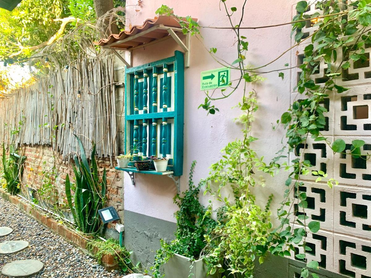 Boutique Musa Paradisiaca
